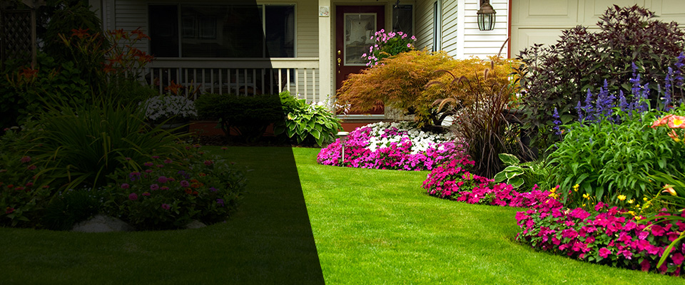 Flora Landscapers